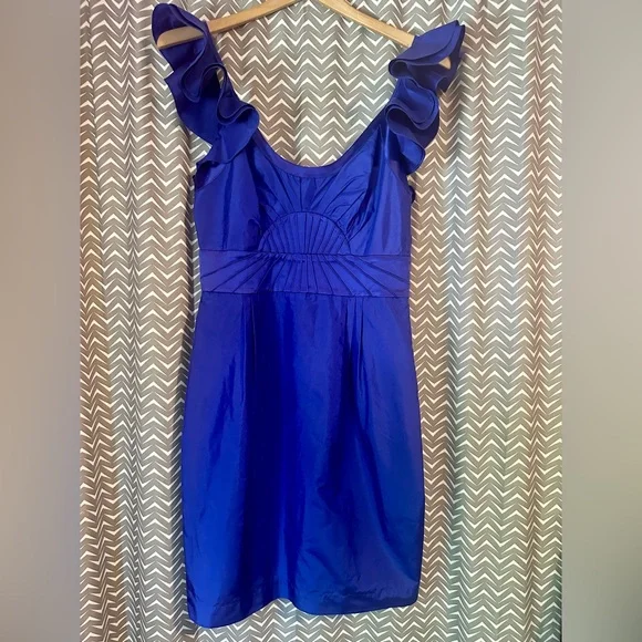 Catherine Malandrino | Dresses | Like New Catherine Malandrino Royal Blue  Ruffle Sleeve Silk Mini Dress Size 8 | Poshmark